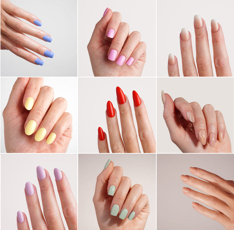 6. 🎨 Des designs élégants qui attirent tous les regards