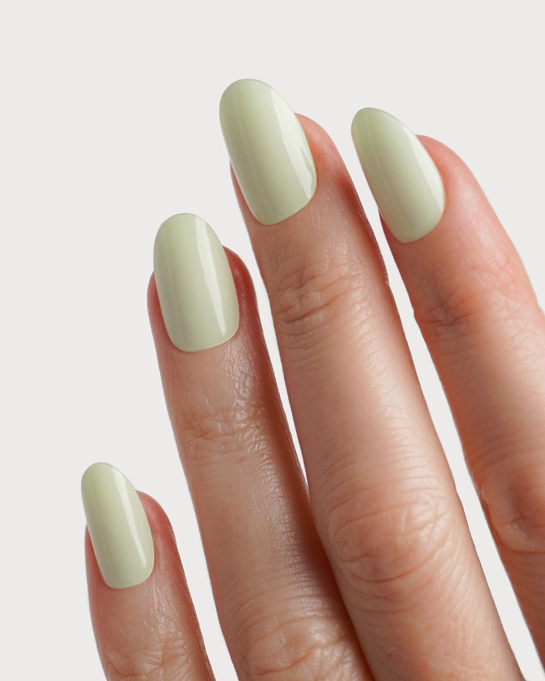 Pistachio Bandes en Gel