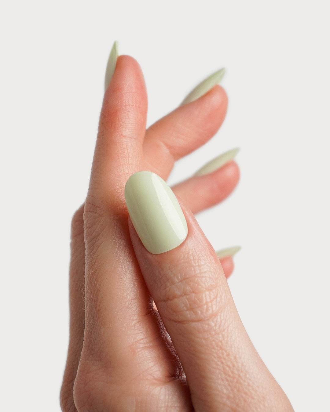 Pistachio Bandes en Gel