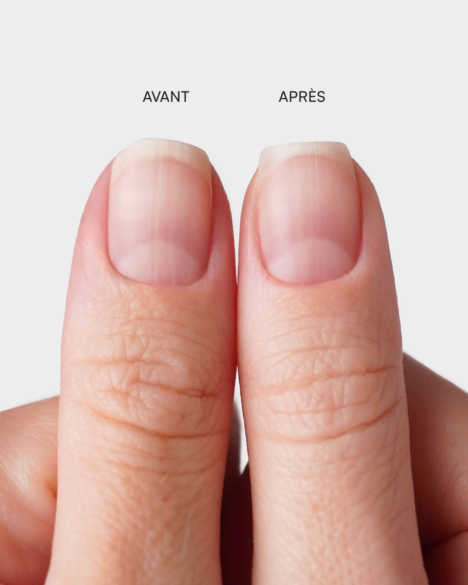 Kit de Limes Premium Demi-Lune